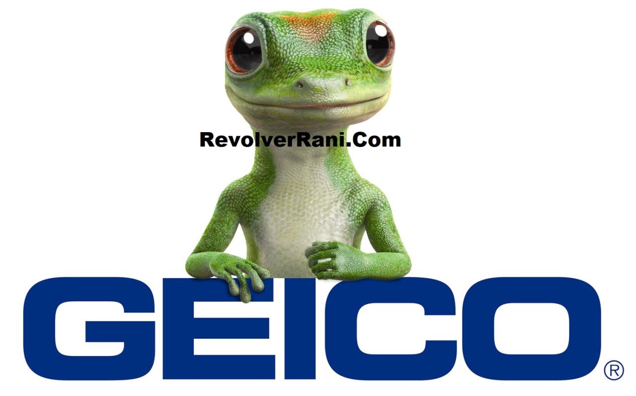 Geico breach gecko claim