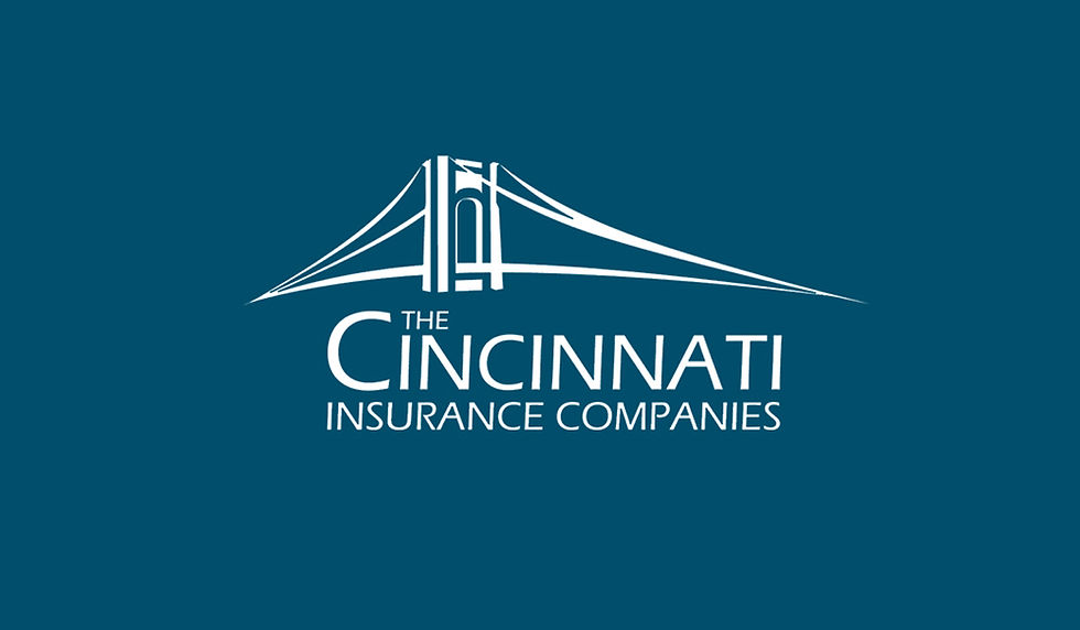 Cincinnati insurance financial company logo companies management change statistics facts reviews business